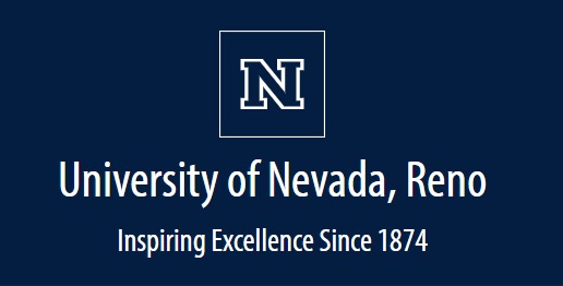 Üniversite P Logosu